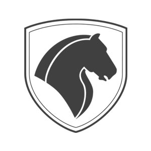 ایران خودرو